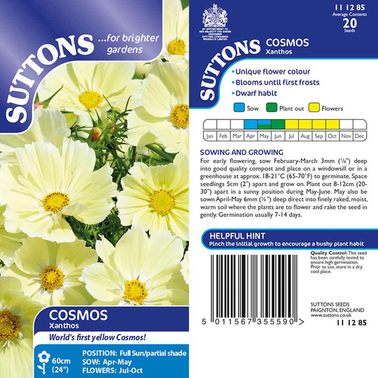 Rosenskära 'Xanthos'