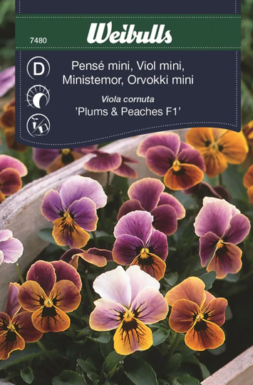 Weibulls Minipensé Viola Cornuta
