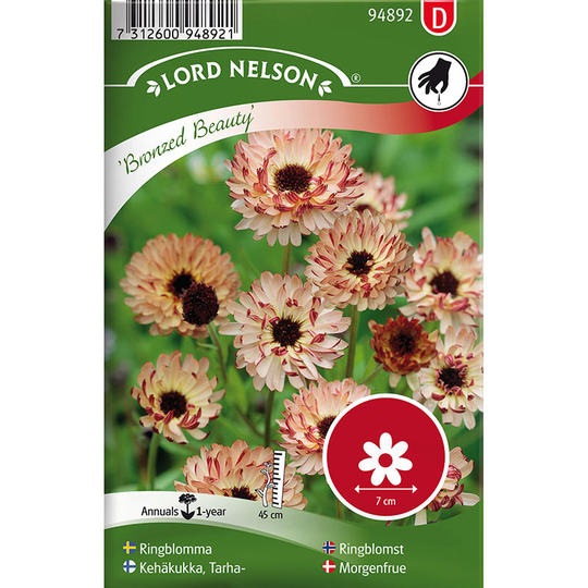 Ringblomma 'Bronzed Beauty'