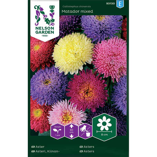Aster 'Matador', mix