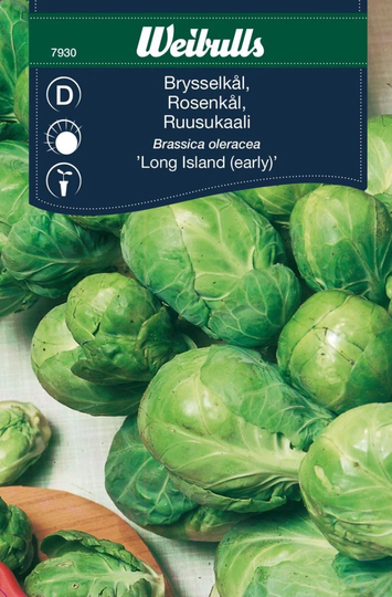 Weibulls Brysselkål Long Island (early)