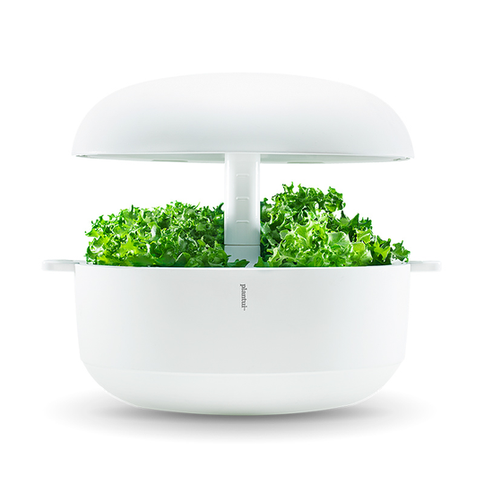 Plantui Smart Garden - inomhusodling, vit