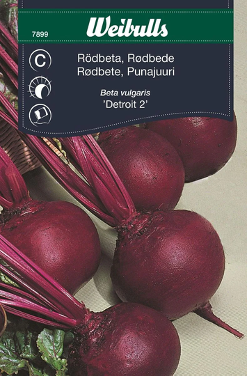 Weibulls Rödbeta Rund Detroit 2