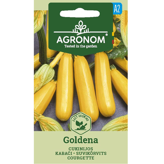 Squash 'Goldena'