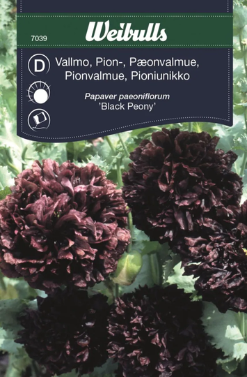 Weibulls Pionvallmo Black Peony