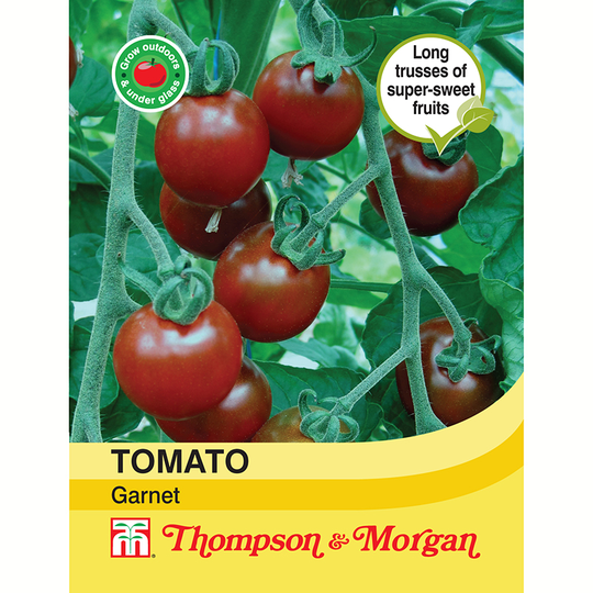 Tomat 'Garnet'