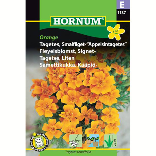 Tagetes 'Orange'
