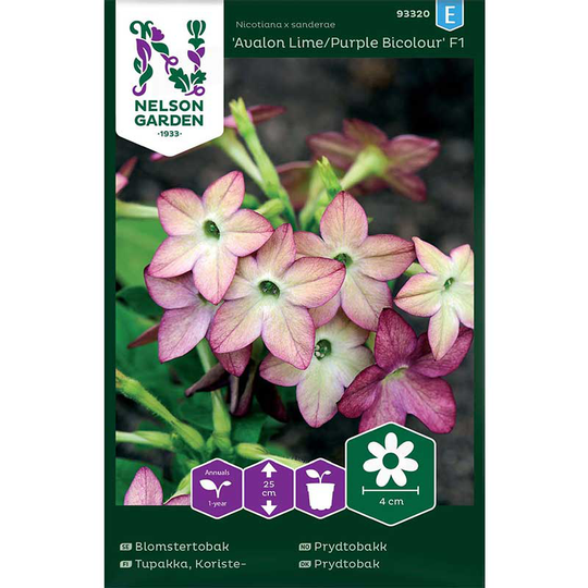 Blomstertobak 'Avalon Lime/Purple' F1