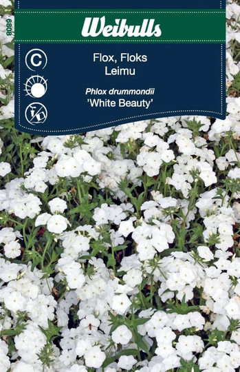 Weibulls Flox White Beauty