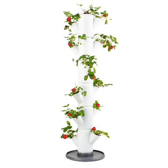 Gusta Garden Kruka Sissi Strawberry Classic Vit 13 krukor