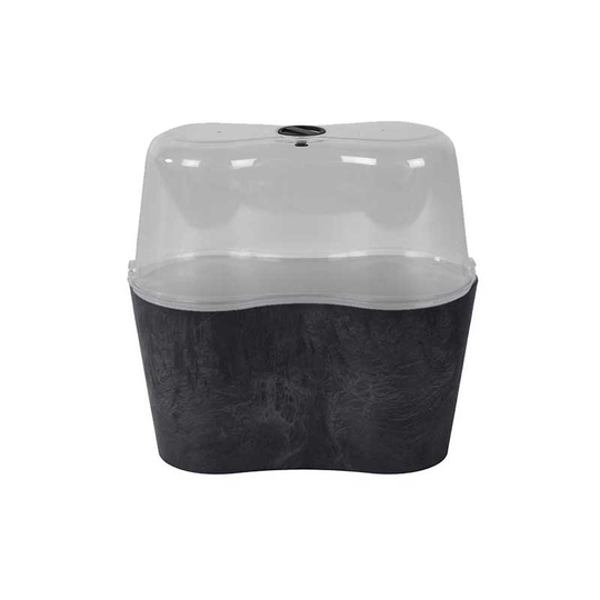 Minidrivhus Claire 20x10, svart