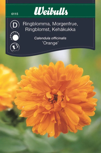 Weibulls Ringblomma Orange