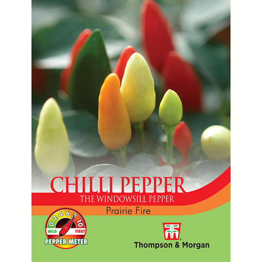 Chilipeppar 'Prairie Fire'