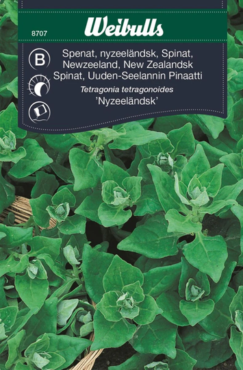 Weibulls Spenat Nyzeeländsk
