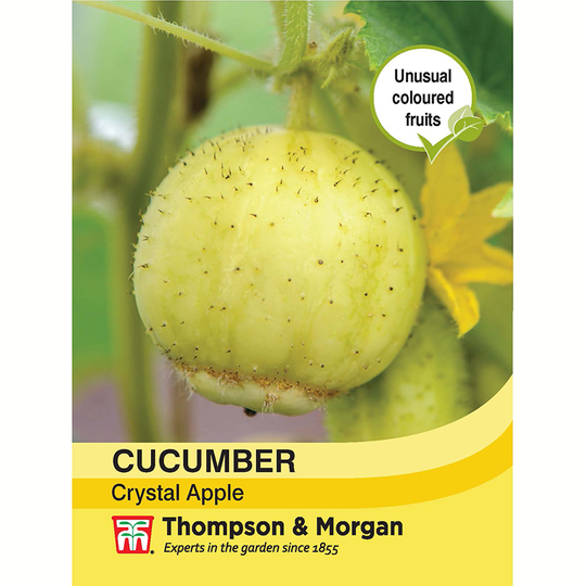 Äppelgurka 'Crystal Apple'