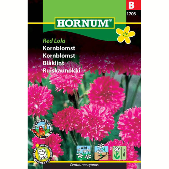 Blåklint 'Red Lola'