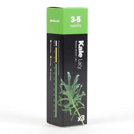 Frökapsel Plantui Smart Garden - Grönkål, Lacy