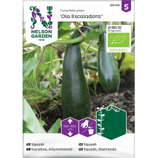Klängsquash 'Ola Escaladora', ekologisk