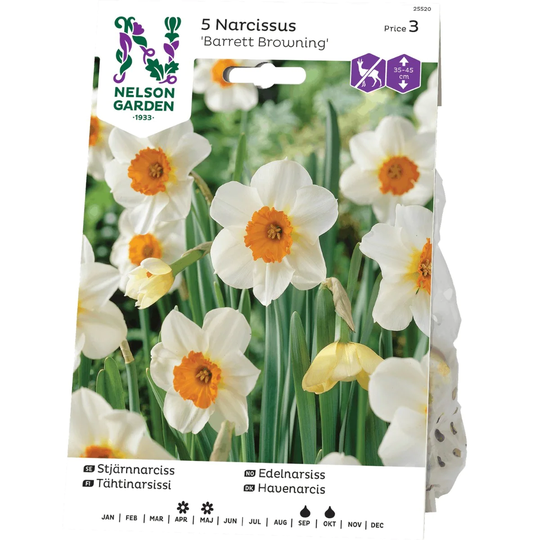 Nelson Garden Stjärnnarciss Barret Browning