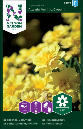 Nelson Garden Tagetes Sammets Alumia Vanilla Cream
