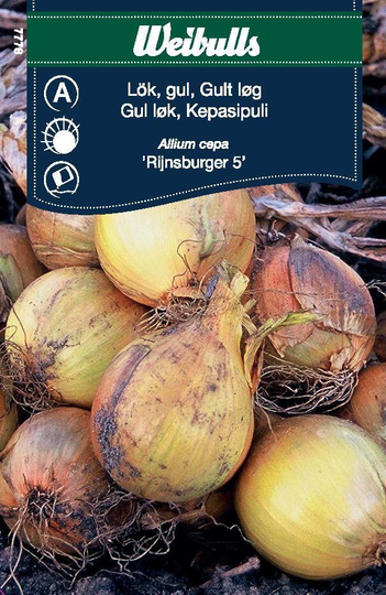 Weibulls Gul Lök Rijnsburger 5