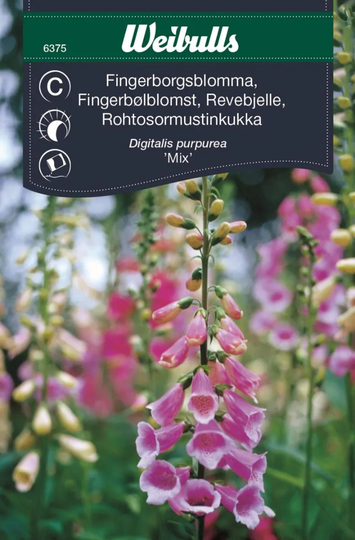 Weibulls Fingerborgsblomma Mix