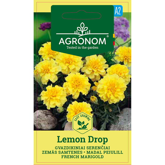 Sammetstagetes 'Lemon Drop'