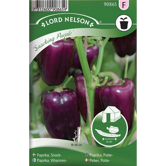 Snackpaprika 'Snacking Purple'