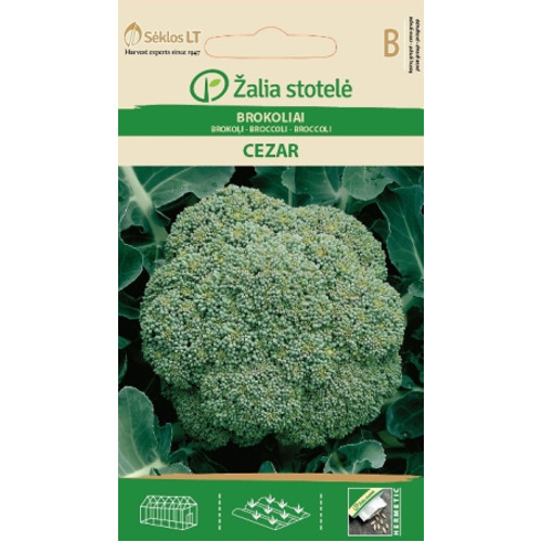 Broccoli 'Cezar'