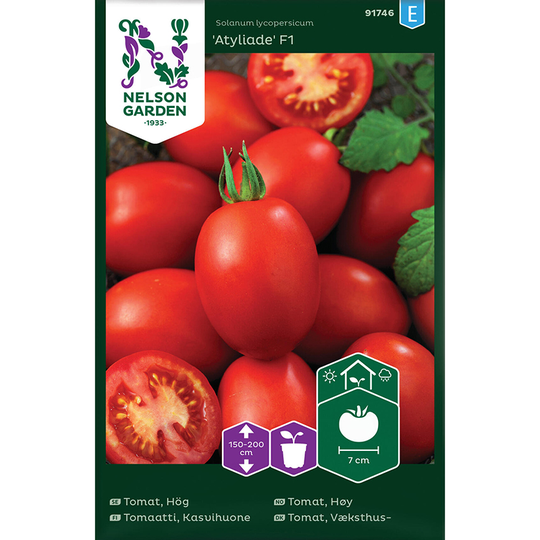 Tomat 'Atyliade' F1