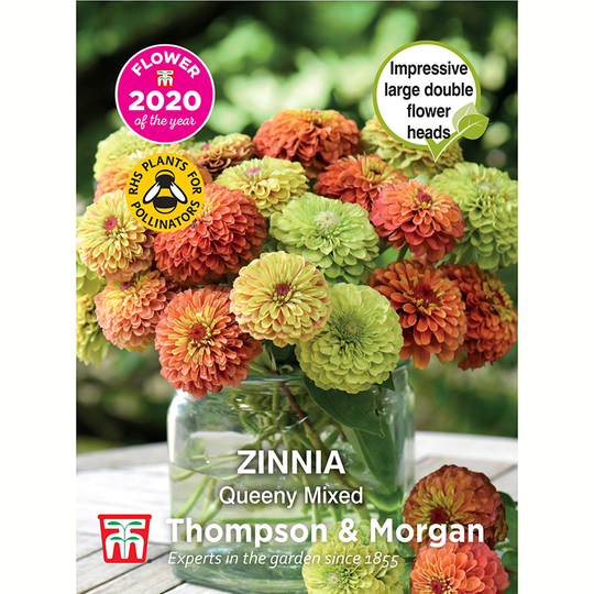 Zinnia 'Queeny', mix