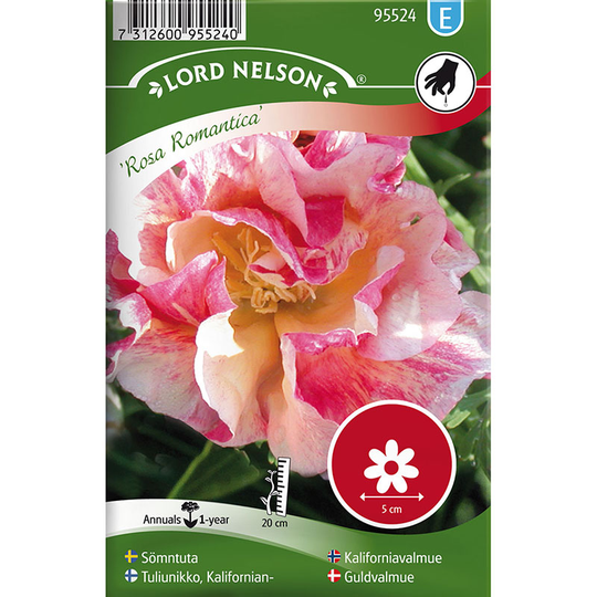 Sömntuta 'Rosa Romantica'