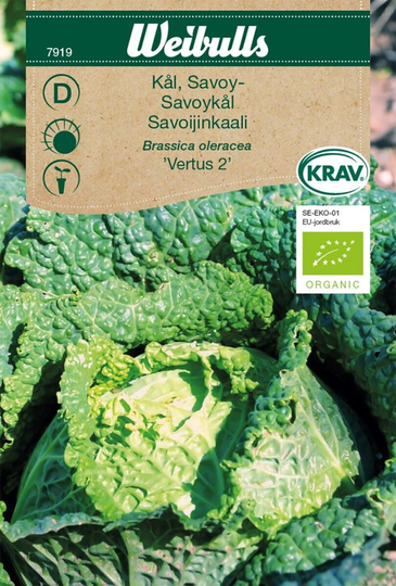 Weibulls Savoykål KRAV Vertus 2