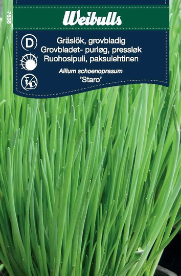 Weibulls Gräslök Grovbladig