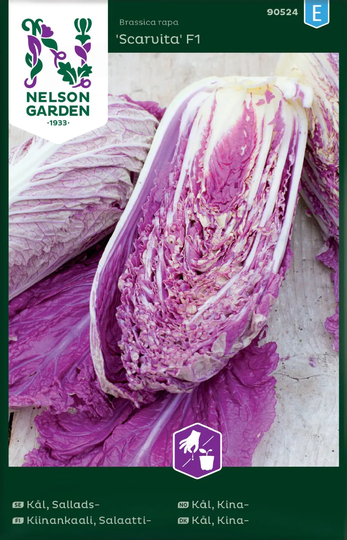 Nelson Garden Salladskål Scarvita F1