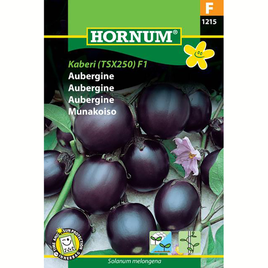 Aubergine 'Kaberi' (TSX 25) F1