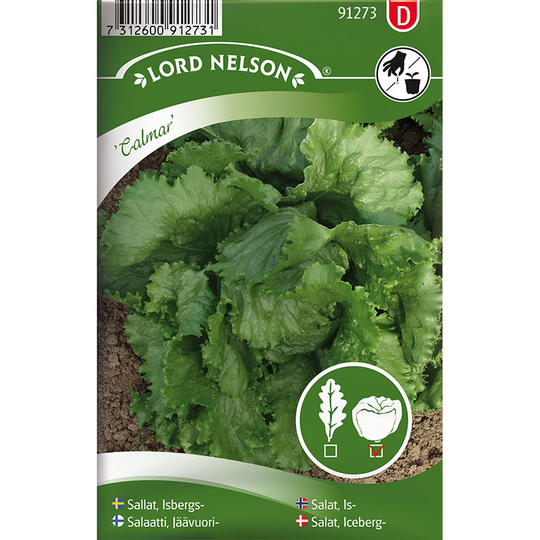 Isbergssallat 'Calmar'