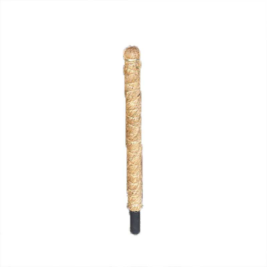 Växtstöd, kokosstav 60 cm