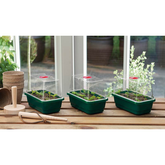 Minidrivhus mini 3-pack, grön