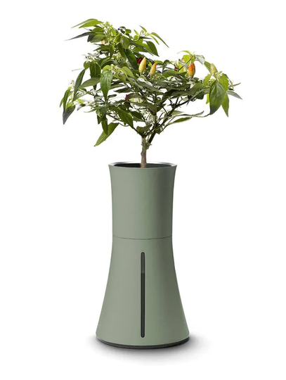 Botanium Odlingskruka Laurel Green