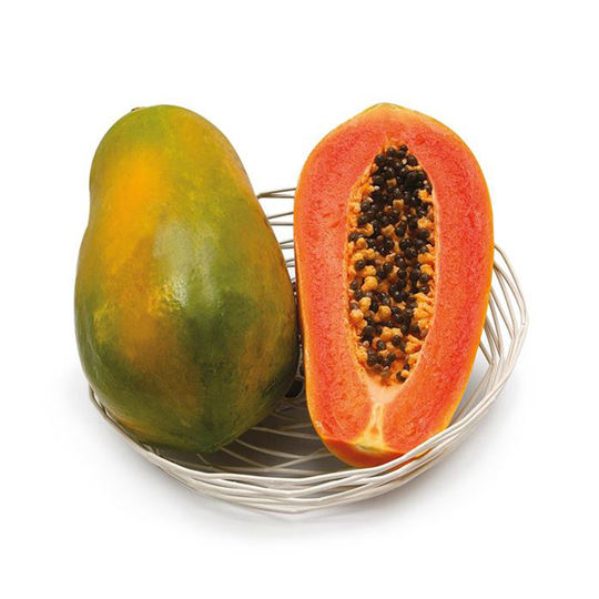 Papaya 'Sunnybees', 3-pack
