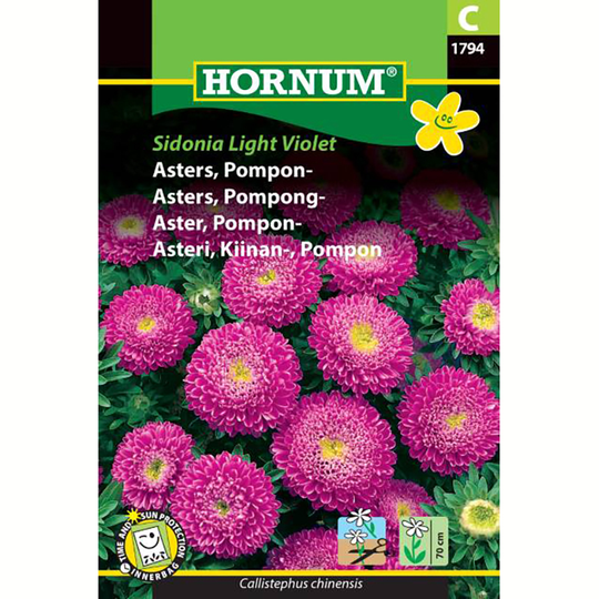 Aster 'Sidonia Light Violet'