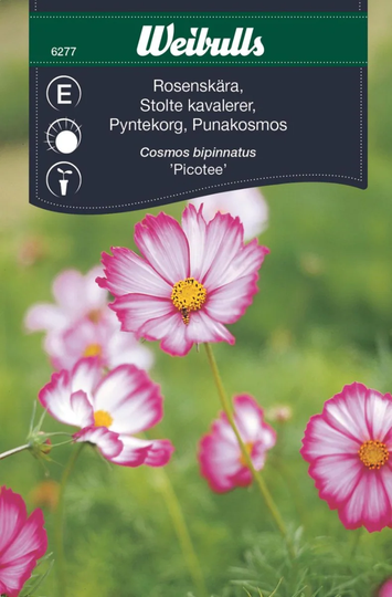 Weibulls Rosenskära Rosa och Vit