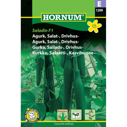 HORNUM Salladsgurka Växthus Saladin F1