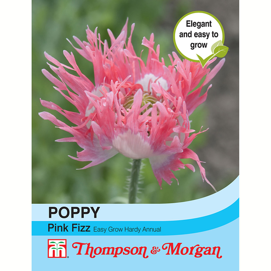 Opiumvallmo 'Pink Fizz'