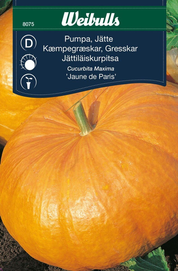 Weibulls Jättepumpa Jaune De Paris