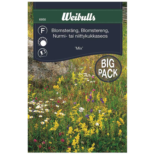 Blomsterängsblandning