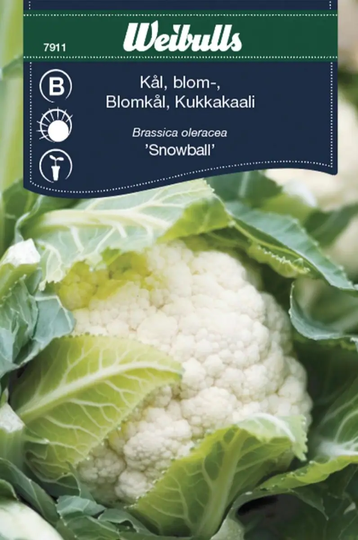 Weibulls Blomkål
