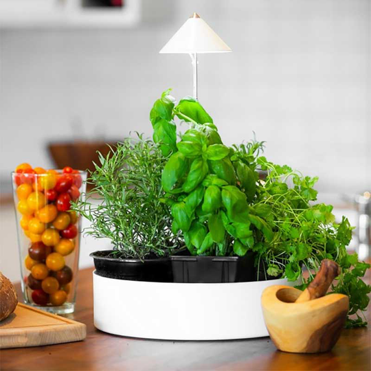 SunLite miniHerb 10W, L