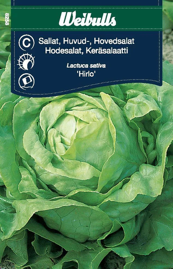 Weibulls Huvudsallad Hilde II